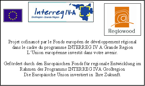 Gefördert durch den Europäischen Fonds für regionale Entwicklung im Rahmen des Programms INTERREG IVA Großregion Das Bild zeigt: Gefördert durch den Europäischen Fonds für regionale Entwicklung im Rahmen des Programms INTERREG IVA Großregion