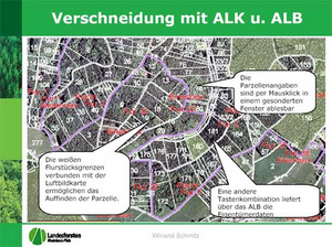 Das Bild zeigt: Der Schritt zur Parzelle erfolgt über das Einblenden der automatischen Liegenschaftskarte